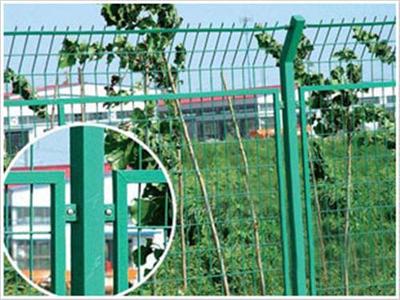 小區護欄網批發、小區護欄網生產廠家/歐齊網業(圖)、小區護欄網供應圖片_高清圖_細節圖-安平縣歐齊絲網制品 -