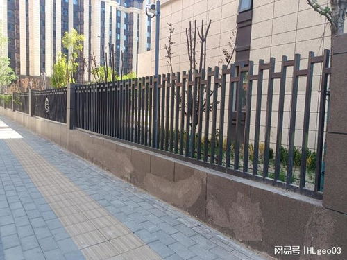 2025年專注護(hù)欄網(wǎng)生產(chǎn)與批發(fā) 河北森恒，您的可靠選擇