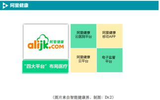 BAT如何布局移動(dòng)醫(yī)療數(shù)據(jù)處理服務(wù) 戰(zhàn)略、技術(shù)與未來(lái)展望